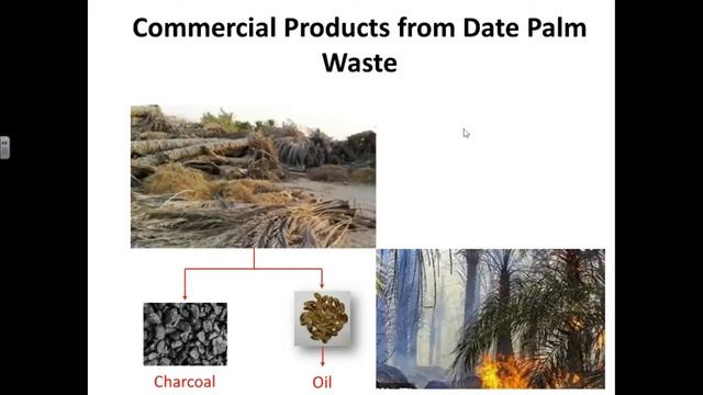 Hydrothermal carbonization of biomass смотреть онлайн