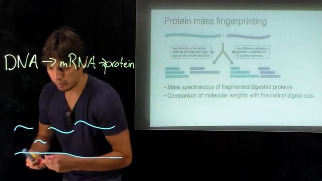 Topic 4.17 - Protein mass fingerprinting смотреть онлайн