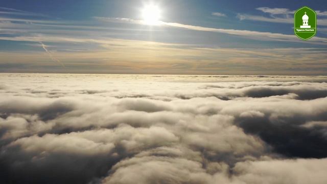 Сила Материнской любви которая спасла сына, очень трогательная история смотреть онлайн