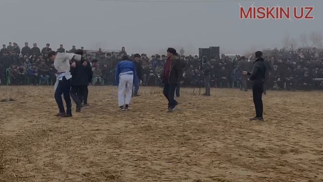 Мискин елинда катта той кураш / Мискинли палванлар маладес омад смотреть онлайн