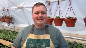 Шикарная петуния! Сам в восторге от результата! #борисборисов #петунияизсемян #петуния