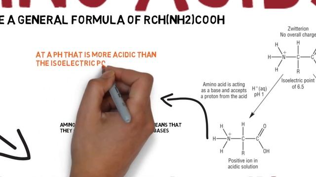 Amino Acids - OCR Chemistry A2-level Revision смотреть онлайн