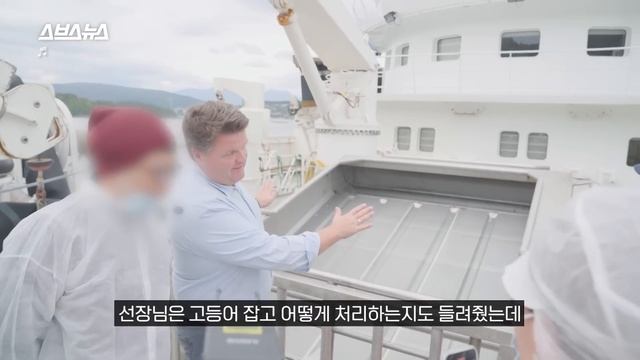 노르웨이 고등어가 그렇게 맛있다는데....그런데 갑자기 배를 타라고요? / 스브스뉴스 смотреть онлайн