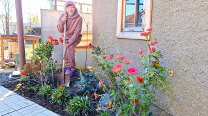 Ноябрь - а мы ещё в земле | Последние краски лета