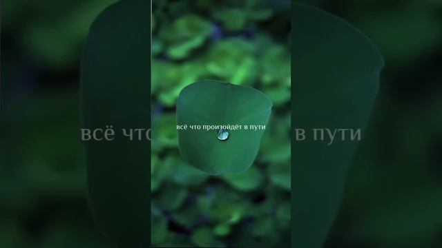 #состояние #любовь #бытьсобой #моменты #счастье #жизнь смотреть онлайн