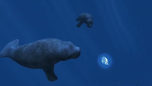 Ocean Rift Education Trailer смотреть онлайн