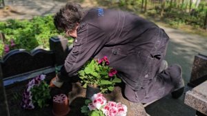 Как посадить  цветы на могиле? САМЫЕ популярные цветы.