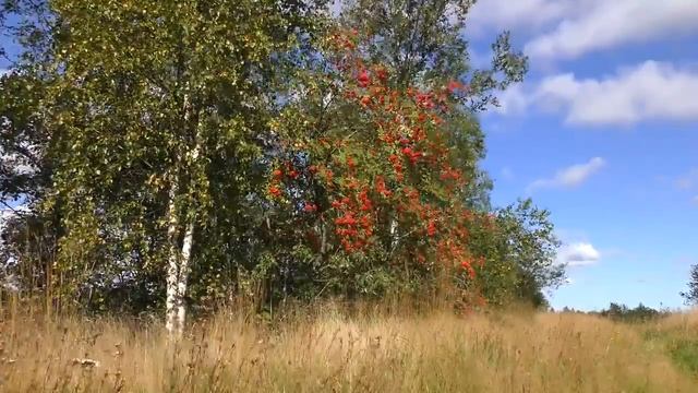 С поля ветер, ой, вея-павивая смотреть онлайн
