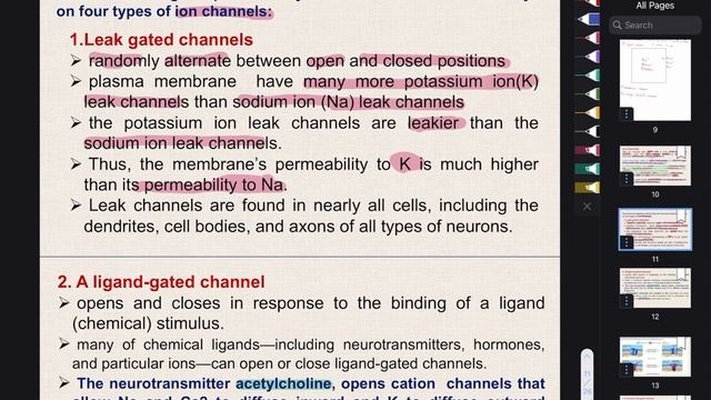 Nerve & Muscle lec3 / Ion Channel - Resting Membrane Potential смотреть онлайн
