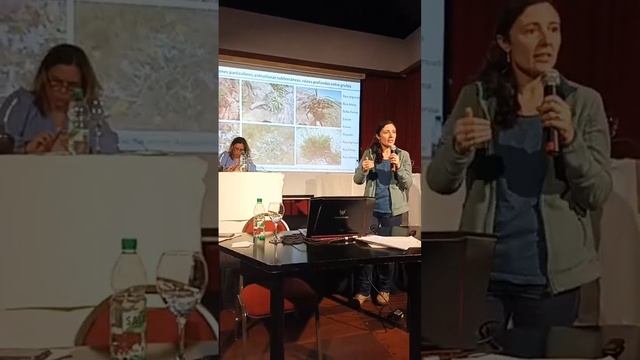 Patricia Mai en la Audiencia Pública por Punta Ballena смотреть онлайн