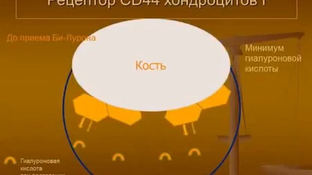 Би-лурон Революционный продукт для здоровья суставов Презентация доктора Душека смотреть онлайн