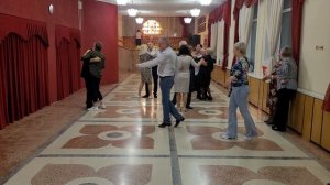 А белый лебедь на пруду... 09.11.24...