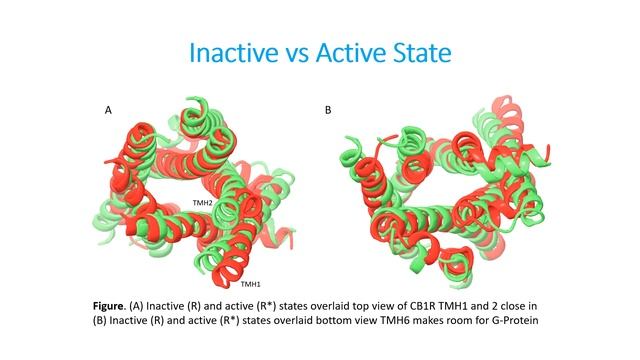 G Protein Coupled-Receptor Activation смотреть онлайн