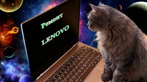 Замена корпуса дисплея на ноутбуке Lenovo ThinkBook 15 G2. Как разобрать ноутбук Lenovo ThinkBook 15