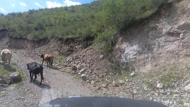 E34.Kyrgyzstan Tripology. Такая неожиданность в горах Кыргыстана смотреть онлайн