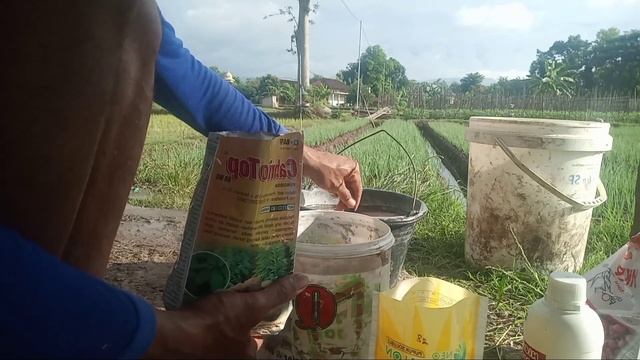 apa manfaat H202 pada tanaman bawang merah смотреть онлайн