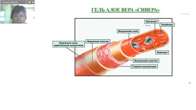 Вебинар Т Шерстобитова «Ваши помощники в укреплении иммунитета» смотреть онлайн