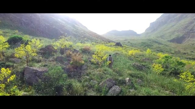 shangal смотреть онлайн