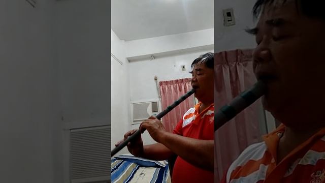 木舞山人謝欽錠自製水管洞簫吹奏（想厝的人） смотреть онлайн