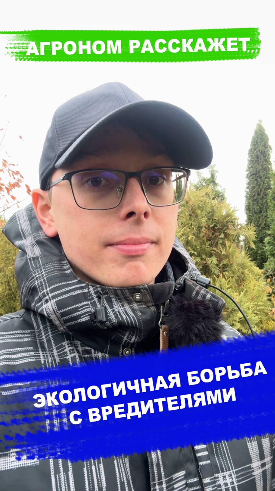 Лучший способ избавиться от ВРЕДИТЕЛЕЙ в саду смотреть онлайн