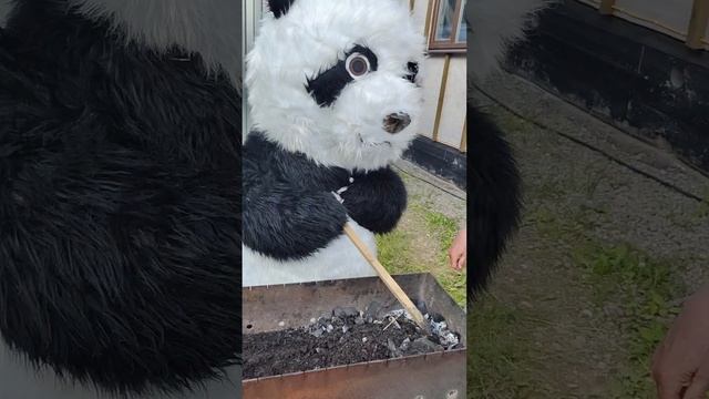 Шашлычки смотреть онлайн