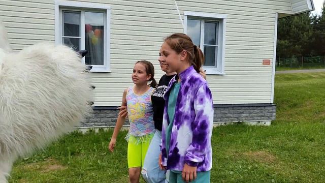 Ангелина с днем рождения смотреть онлайн