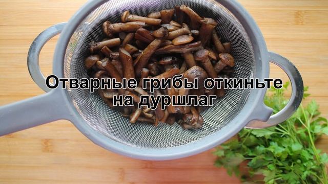 1000.menu: Тысяча рецептов на каждый день