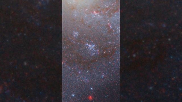 Pan Of NGC 5468 | Spiral Galaxy #jwst