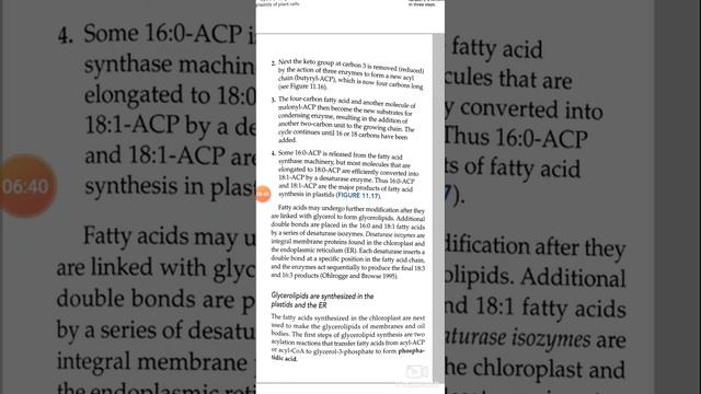 Fatty acid biosynthesis in plastids смотреть онлайн