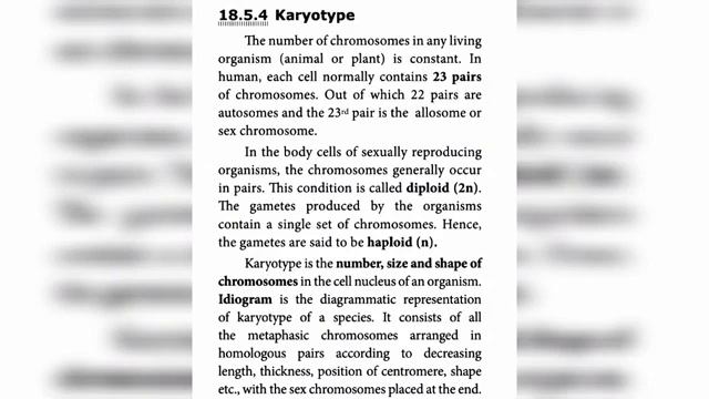 |10th - SCIENCE - BOTANY| . SINDHU| смотреть онлайн