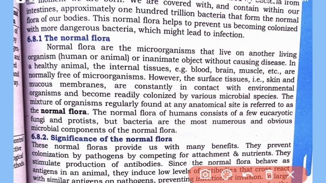 Bacterial Flora Of Humans || Prokaryotes class 11 bio chapter 6 смотреть онлайн