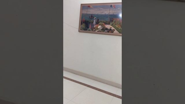 TV that looks like a painting. Samsung Frame 55 inches смотреть онлайн