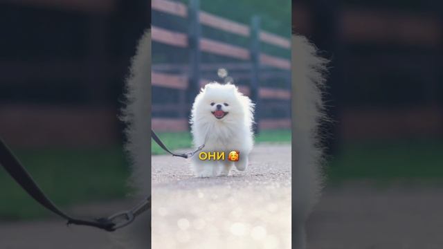 Ценим каждого❤️