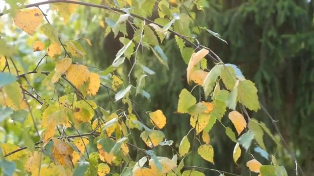 Через садик да дороженька лежала смотреть онлайн