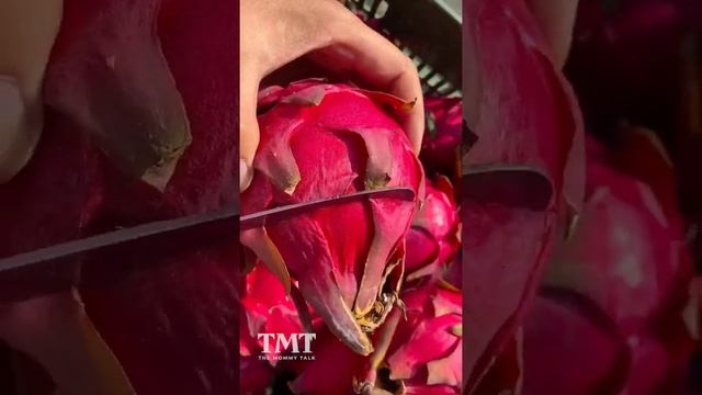 Экзотические фрукты Exotic fruits смотреть онлайн