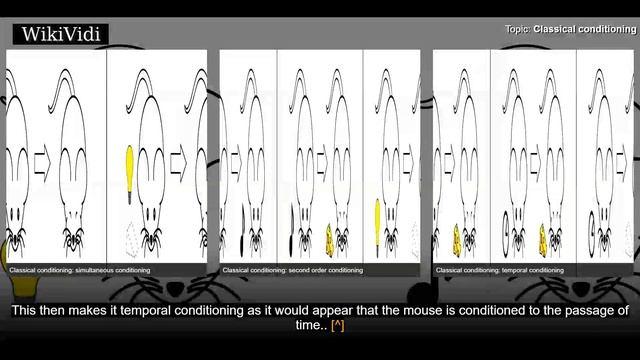 CLASSICAL conditioning - WikiVidi Documentary смотреть онлайн