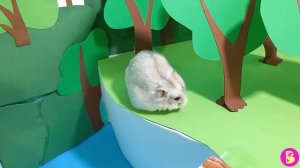 ХОМЯЧКИ ИЩУТ СОКРОВИЩА***КВЕСТ ВО ДВОРЦЕ