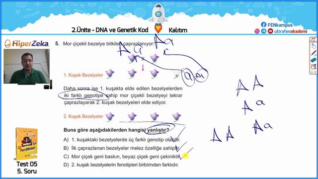 2.Ünite: Test - 05 ( Kalıtım ) 8.Sınıf Hiperzeka Sinerji Fen Bilimleri Soru Bankası смотреть онлайн