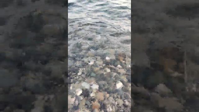 Наше лето ☺ смотреть онлайн