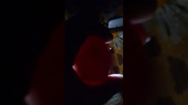 Инкубация цыплят под лампочкой(первая овоскопия) смотреть онлайн