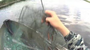 Рыбалка на ротана раколовками 2024