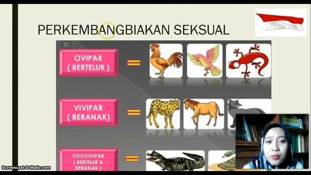 #BelajarbersamaSUKMA: Kelas 9 SMP Al-Hidayah | IPA | Sistem Perkembangbiakan Hewan смотреть онлайн