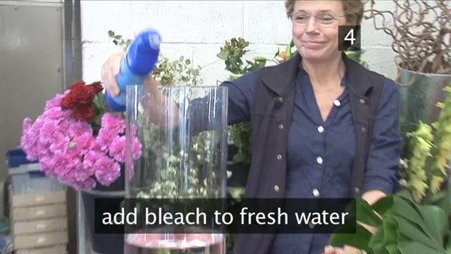 How To Arrange Flowers In A Large Vase смотреть онлайн