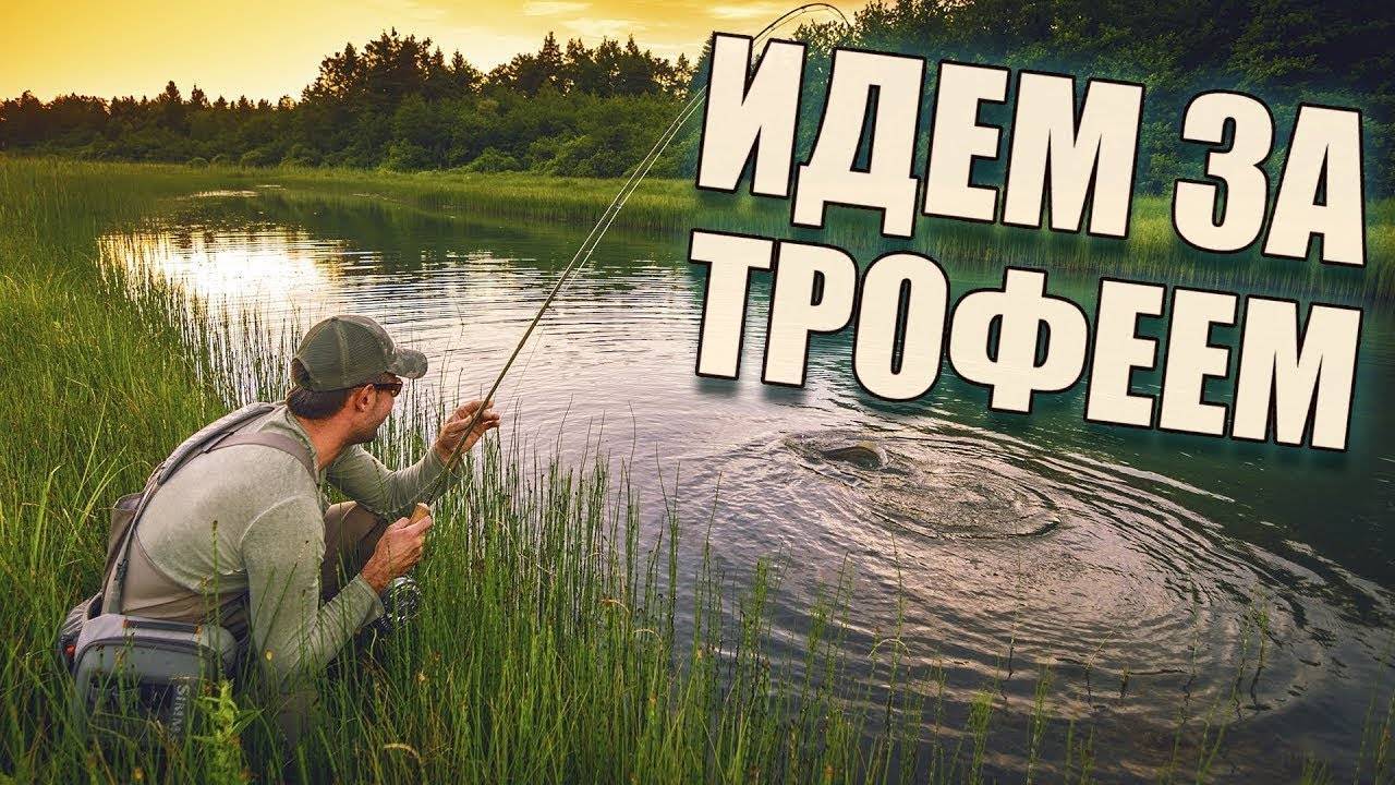 Нужен Трофейный Карась смотреть онлайн