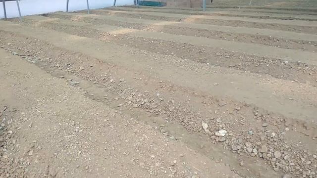 Measurement Of Beds in Polyhouse смотреть онлайн