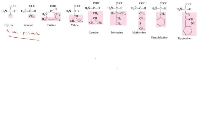 Amino acids II Introduction, Structure, Stereochemistry, Derivatives, and functions смотреть онлайн
