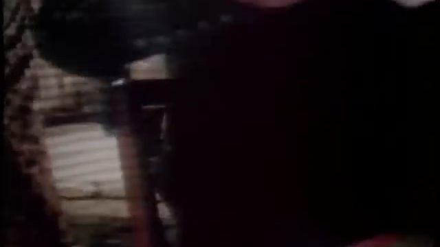 Wild Wild Life From The Movie True Stories (Talking Heads)