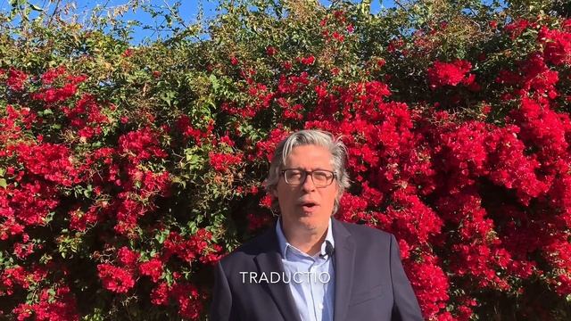 The Lit Plague: The Flowers of Rhetoric смотреть онлайн