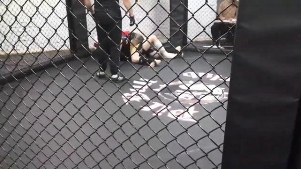 Вайк Саакян по ММА