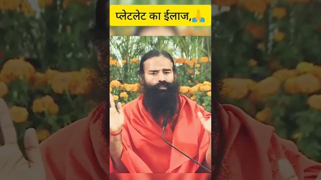 प्लेटलेट का ईलाज (platelets treatment) : स्वामी रामदेव смотреть онлайн